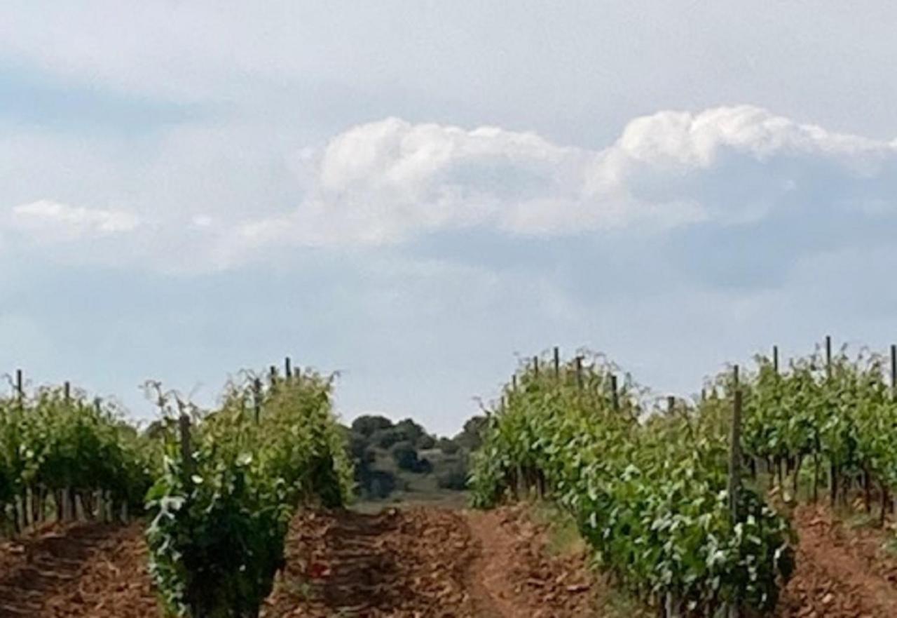 Apartamento turístico cerca Aranda de Duero La Ren Lecrés Vadocondes Exterior foto