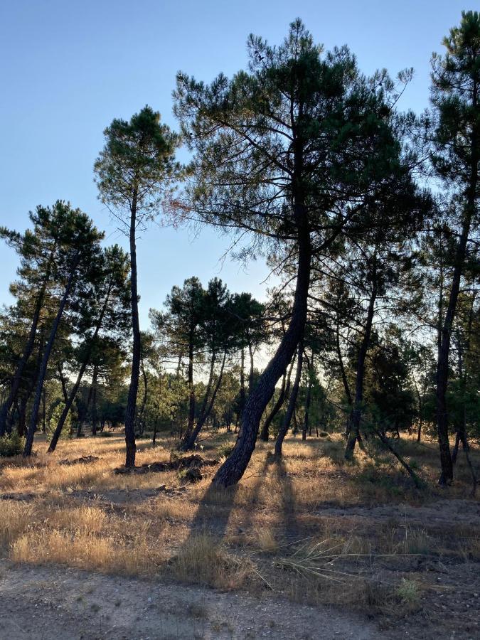 Apartamento turístico cerca Aranda de Duero La Ren Lecrés Vadocondes Exterior foto